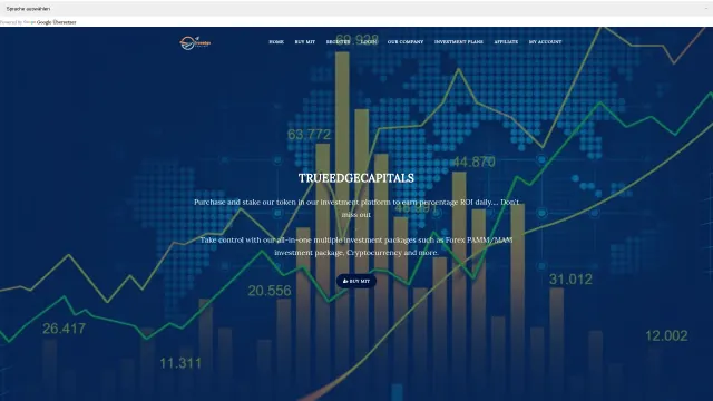 Captured rendering of trueedgecapitals.com
