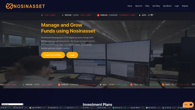 Captured rendering of nosinasset.com