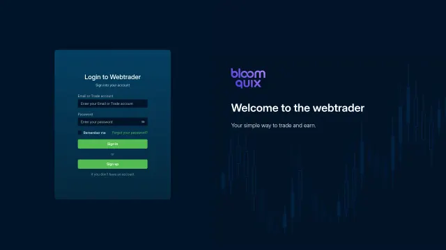 Captured rendering of bloomquix.net