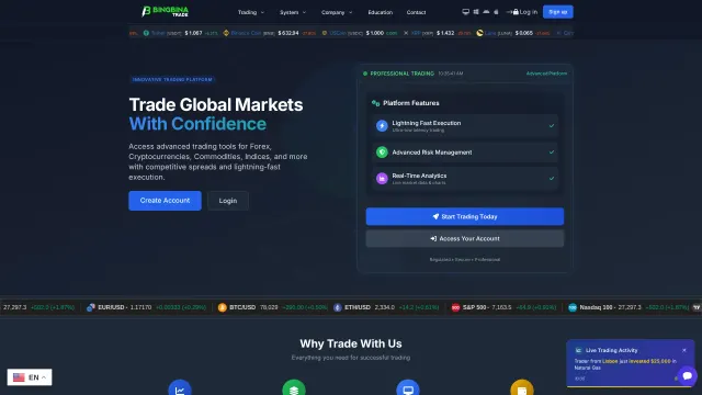 Page capture of bingbinatrade.com