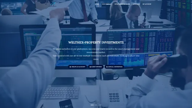 Captured rendering of welthex-property.com