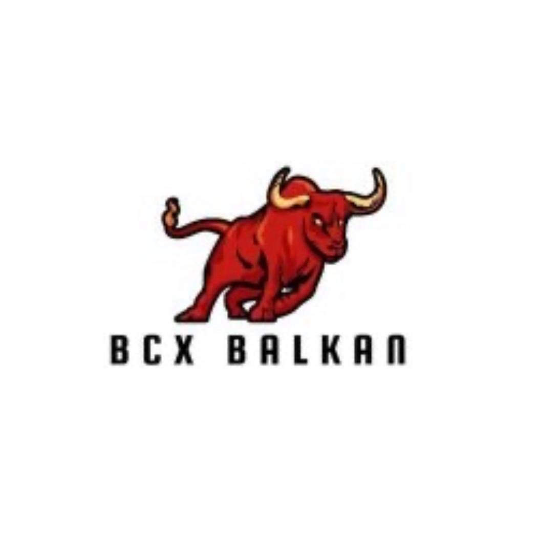 bcxbalkan.com favicon