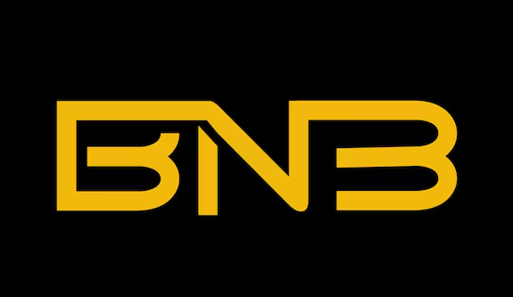 bnbfoxtrade.com favicon