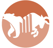 sfx-webtrader.io favicon
