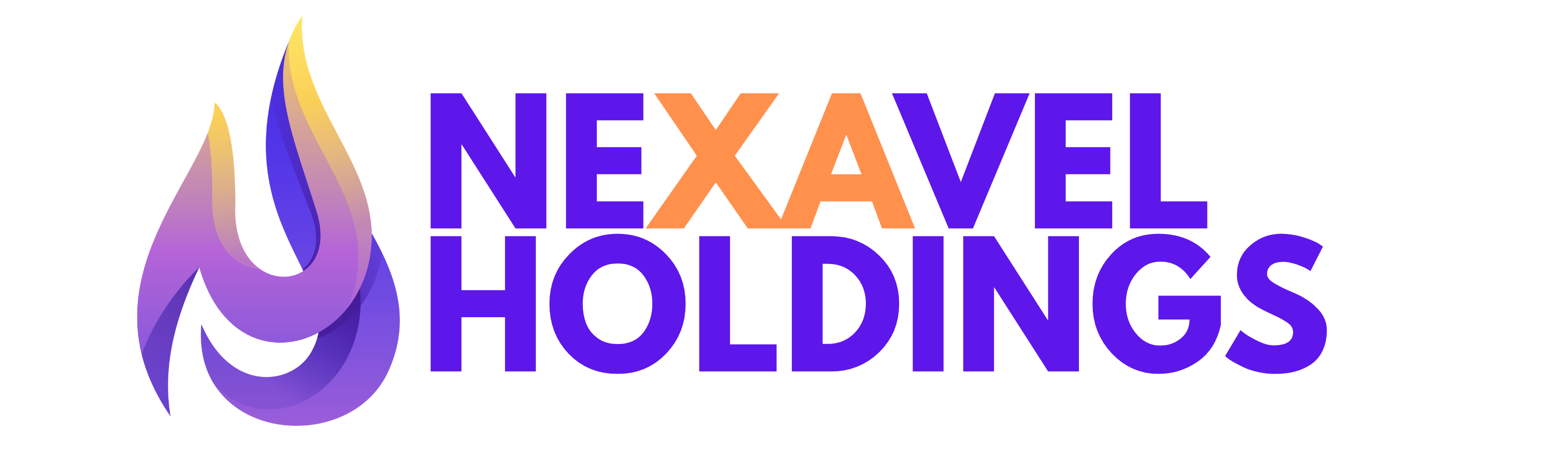nexavelholding.com favicon