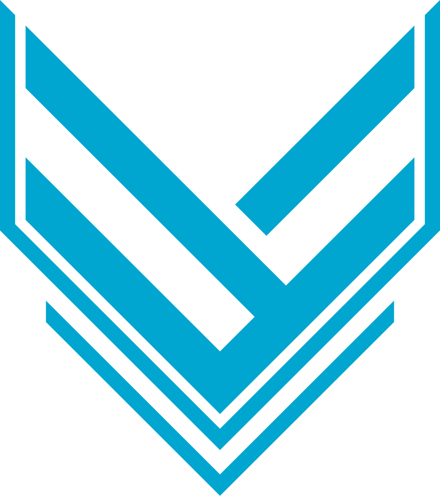 vtexpressrio.com favicon