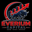 everiumfinance.com favicon