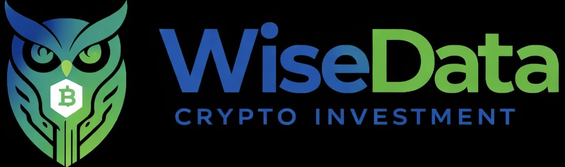 wisedatarec.com favicon