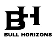 bullhorizons.com favicon